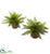 Silk Plants Direct Ruffle Fern Bush - Pack of 1