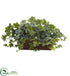 Silk Plants Direct Puff Ivy - Pack of 1