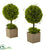 Silk Plants Direct Boxwood Topiary - Pack of 1