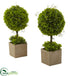 Silk Plants Direct Boxwood Topiary - Pack of 1