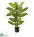Silk Plants Direct Dieffenbachia Plant - Pack of 1