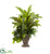 Silk Plants Direct Mixed Yucca, Marginatum, Pothos & Bracken - Pack of 1