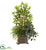Silk Plants Direct Mixed Mini Bamboo, Fittonia & Springeri - Pack of 1