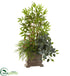 Silk Plants Direct Mixed Mini Bamboo, Fittonia & Springeri - Pack of 1