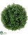 Boxwood Ball - Green - Pack of 24