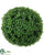 Boxwood Ball - Green - Pack of 8