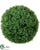 Boxwood Ball - Green - Pack of 6