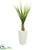 Silk Plants Direct Agave Artificial Plant - Pack of 1