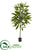 Silk Plants Direct Long Leaf Ficus Artificial Plant - Pack of 1