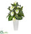 Silk Plants Direct Calla Lily and Mixed Greens Artificial Plant - Pack of 1