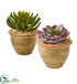 Silk Plants Direct Large Succulent Artificial Plant - Pack of 1