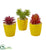 Silk Plants Direct Mixed Succulent Artificial Plant - Pack of 1