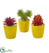 Silk Plants Direct Mixed Succulent Artificial Plant - Pack of 1