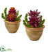 Silk Plants Direct Succulent Artificial Plant - Pack of 1