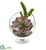 Silk Plants Direct Succulent Artificial Plant - Pack of 1