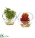 Silk Plants Direct Succulent Artificial Plant - Pack of 1