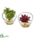 Silk Plants Direct Succulent Artificial Plant - Pack of 1