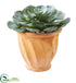 Silk Plants Direct Giant Echeveria Succulent Artificial Plant - Pack of 1