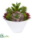 Silk Plants Direct Succulent Garden Artificial Plant - Pack of 1