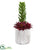 Silk Plants Direct Succulent Artificial Plant - Pack of 1