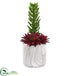 Silk Plants Direct Succulent Artificial Plant - Pack of 1