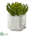 Silk Plants Direct Succulent Artificial Plant - Pack of 1