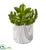 Silk Plants Direct Aloe and Sedum Succulent Artificial Plant - Pack of 1