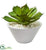 Silk Plants Direct Large Succulent Artificial Plant - Pack of 1