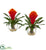 Silk Plants Direct Bromeliad Artificial Plant - Pack of 1