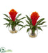 Silk Plants Direct Bromeliad Artificial Plant - Pack of 1