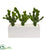 Silk Plants Direct Cactus Succulent Artificial Plant - Pack of 1