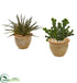 Silk Plants Direct Aloe and Cactus Succulent Artificial Plant - Pack of 1