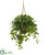 Silk Plants Direct London Ivy Artificial Plant - Pack of 1