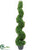 Boxwood Topiary Spiral - Green - Pack of 2