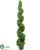 Silk Plants Direct Boxwood Topiary Spiral - Green - Pack of 1