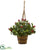 Silk Plants Direct Variegated Holly Artificial Plant - Pack of 1