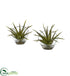 Silk Plants Direct Aloe Artificial Plant - Pack of 1