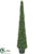 Boxwood Pyramid Topiary - Green - Pack of 2