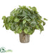 Silk Plants Direct Peperomia Artificial Plant - Pack of 1