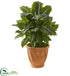 Silk Plants Direct Evergreen Artificial Plant - Pack of 1