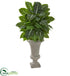 Silk Plants Direct Evergreen Artificial Plant - Pack of 1