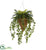 Silk Plants Direct Cycas and Ivy Artificial Plant - Pack of 1