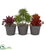 Silk Plants Direct Mixed Succulent Artificial Plant - Pack of 1