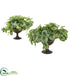 Silk Plants Direct Watermelon Peperomia Artificial Plant - Pack of 1