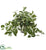 Silk Plants Direct Florida Beauty Artificial Plant - Pack of 1