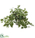 Silk Plants Direct Florida Beauty Artificial Plant - Pack of 1