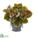 Silk Plants Direct Coleus Artificial Plant - Pack of 1