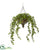 Silk Plants Direct Ivy Artificial Hanging Plant - Pack of 1