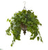 Silk Plants Direct London Ivy Artificial Plant - Pack of 1