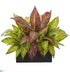 Silk Plants Direct Musa Leaf Artificial Plant - Pack of 1